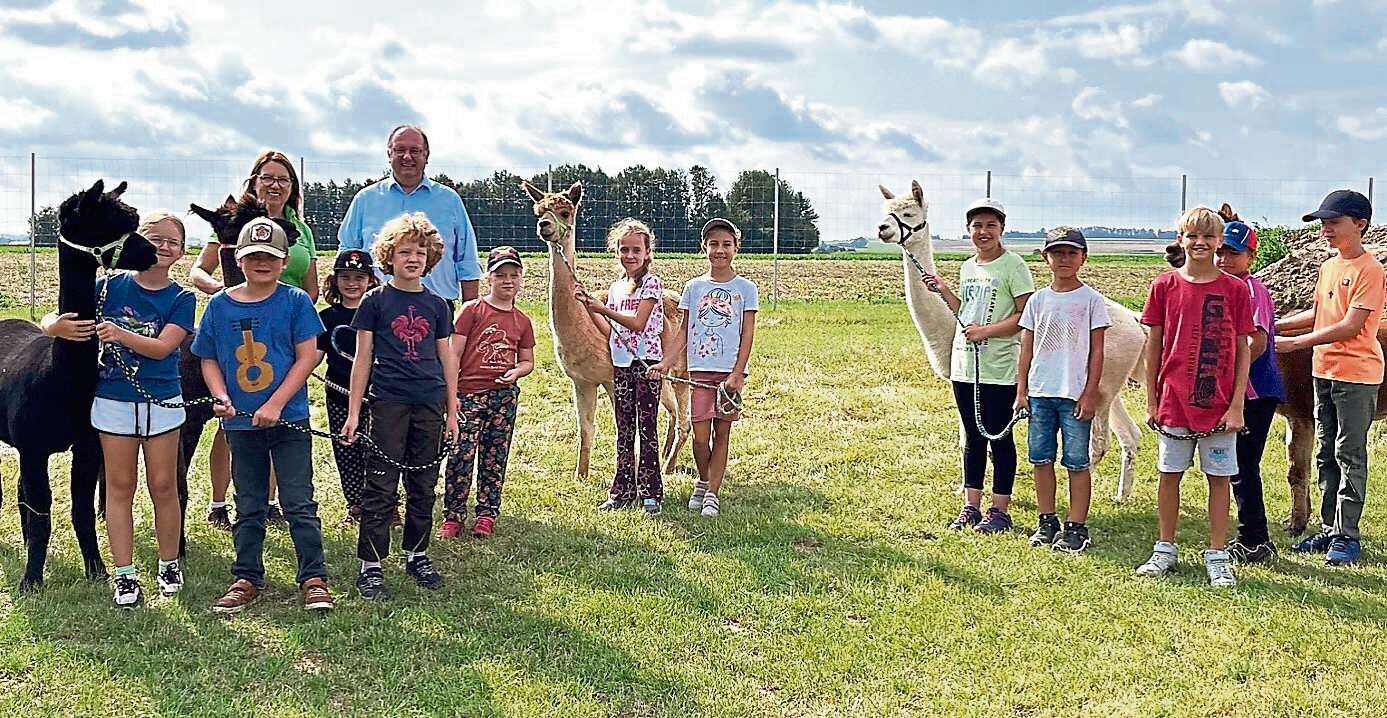 Ferienprogramm der Stadt GSH am Alpakahof der Fam Nagl im September