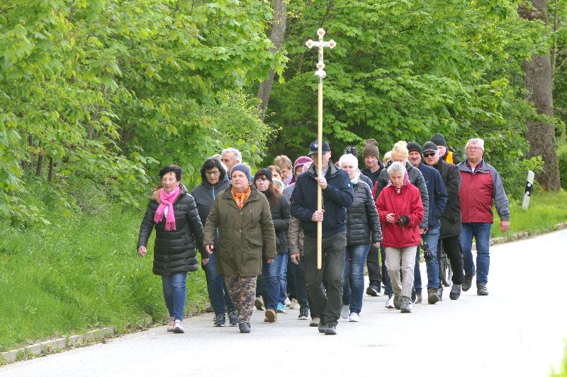 Markusbittgang nach Antenring im April
