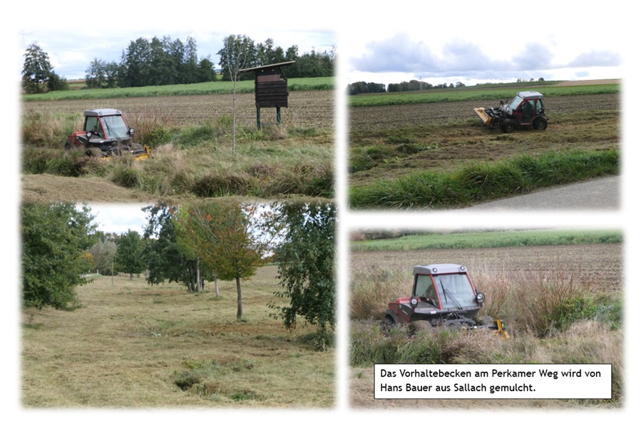 mulchen im Oktober