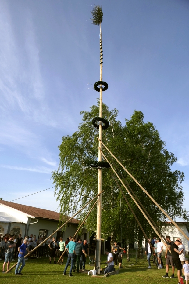 Maibaum
