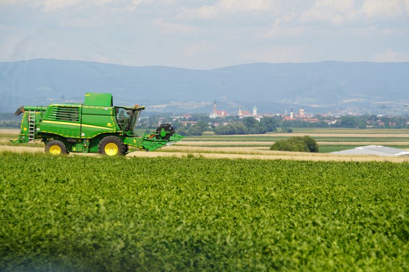 DSC04271
