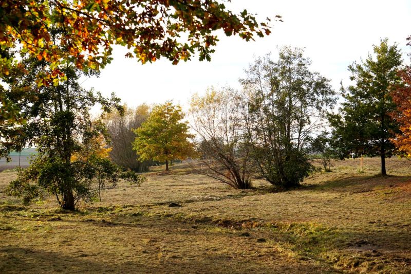 Vorhaltebecken