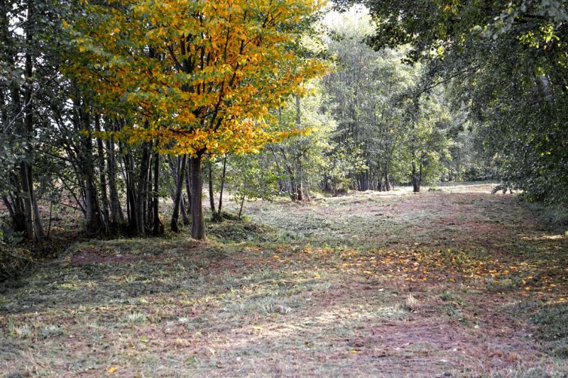 Vorhaltebecken Oberholzener Weg