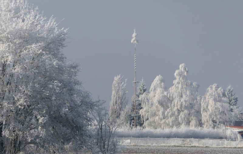 Maibaum