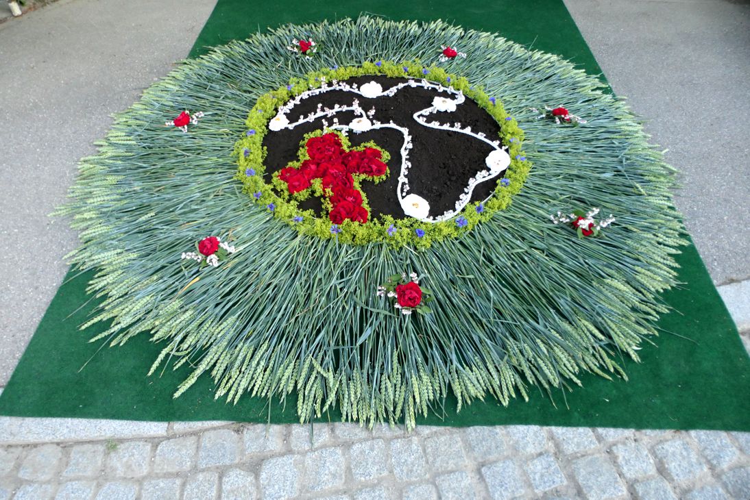 P1310161 Kopie
