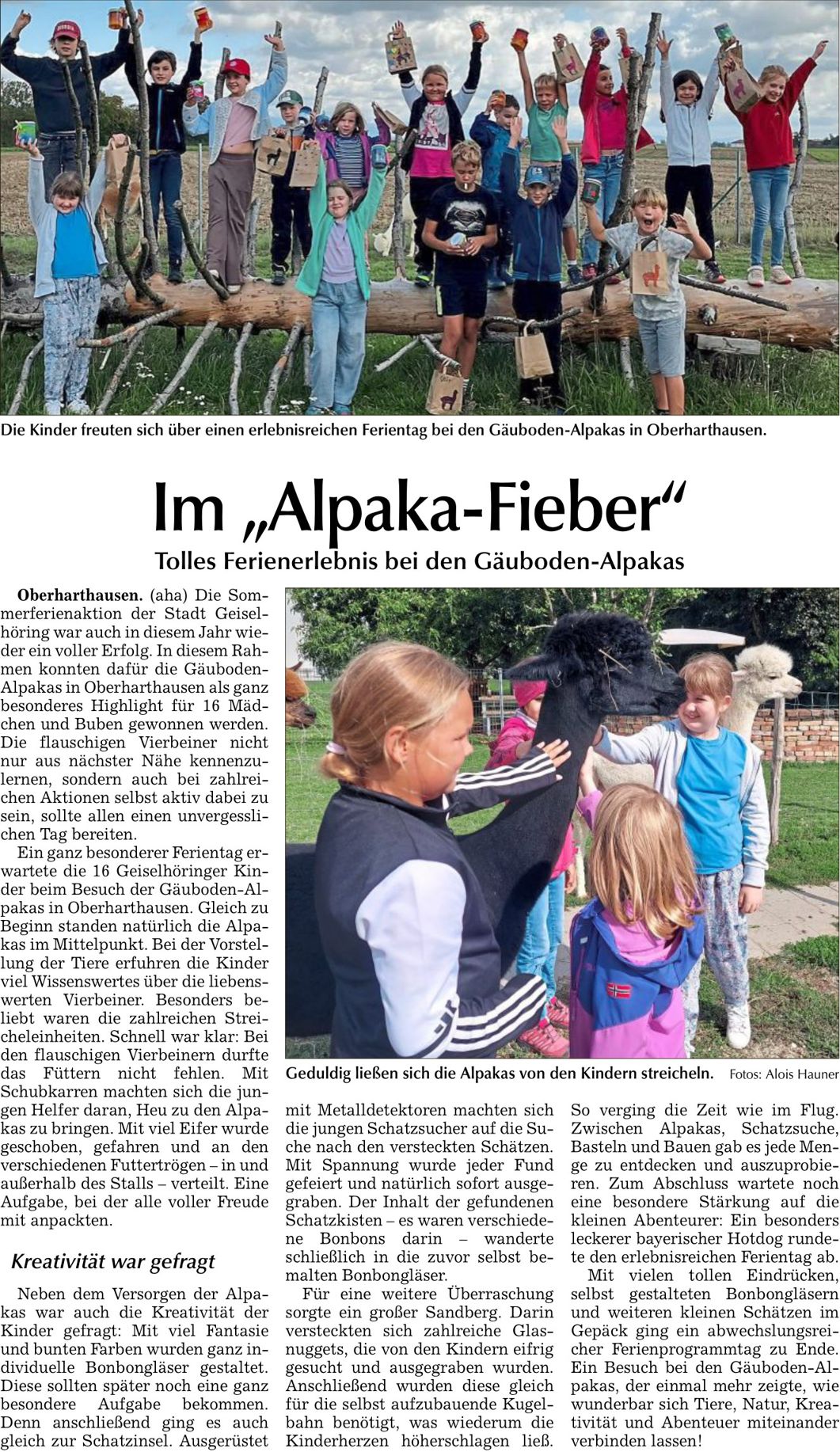 2026 09 01 Allgemeine Laber Zeitung Im Alpaka Fieber 