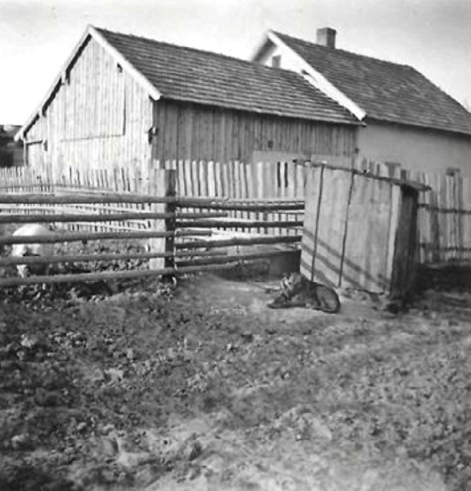 Schweinepferch früher beim Haus von Stadler mit Unterstand und Hund Wasser