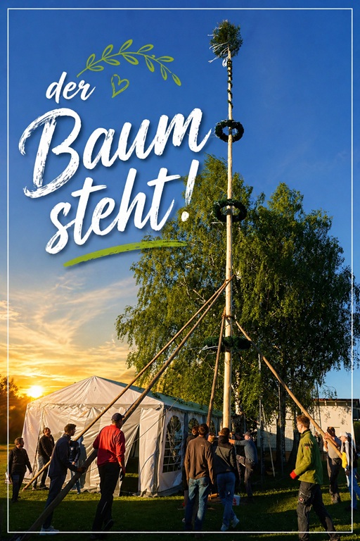 der Baum steht 1