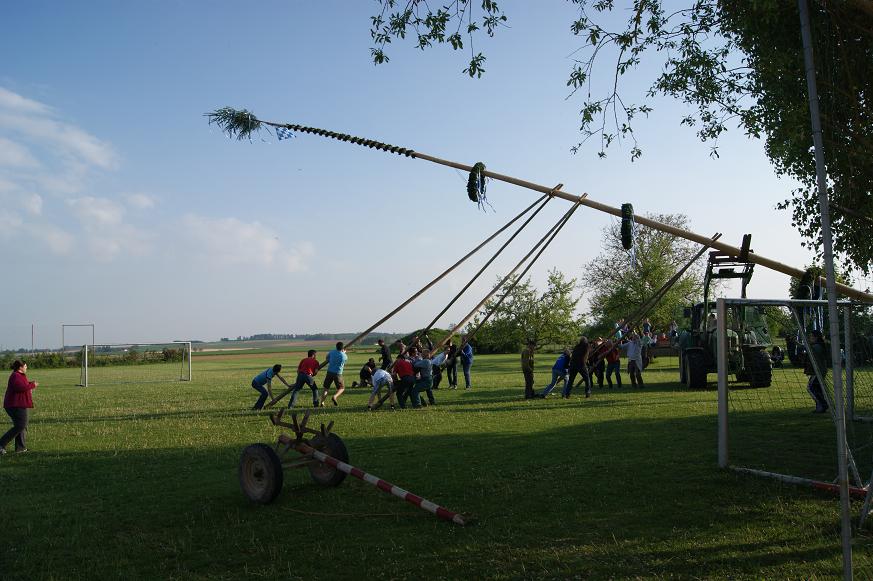 DSC03627