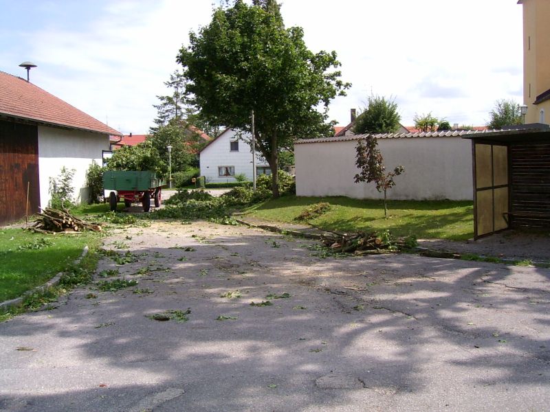 PIC 0600