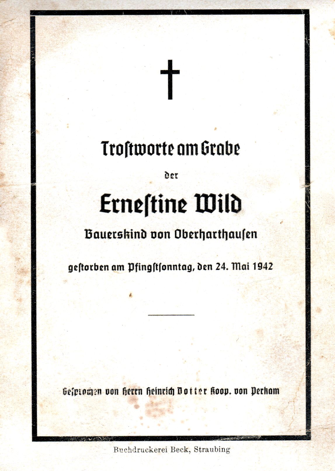 Wild Ernestine