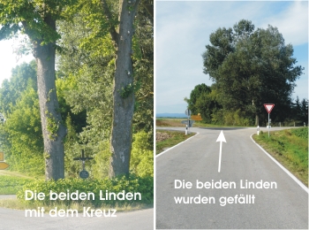 linden